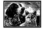 Lakeview Animal Hospital