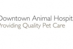 Downtown Animal Hospital