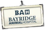 Bayridge Animal Hospital