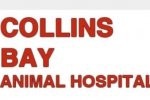 Collins Bay Animal Hospital