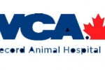 Secord Animal Hospital