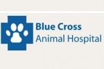 Blue Cross Animal Hospital