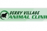 Derry Village Animal Clinic