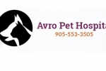 Avro Pet Hospital, Your Local Veterinarian in Vaughan