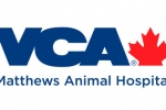 Lexington Rd. Animal Hospital