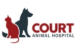 Court Animal Hospital