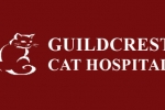 Guildcrest Cat Hospital