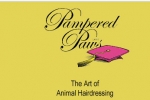 Pampered Paws Limited