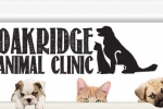 Oakridge Pet Spa
