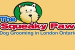 The Squeaky Paw
