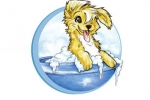 Marcia's Dog Salon
