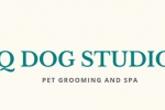Q Dog Studio