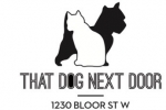 That Dog Next Door